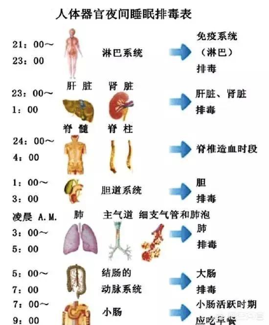 为什么玉镯不能戴左手,有人说左手上千万不能随便戴东西，为什么？