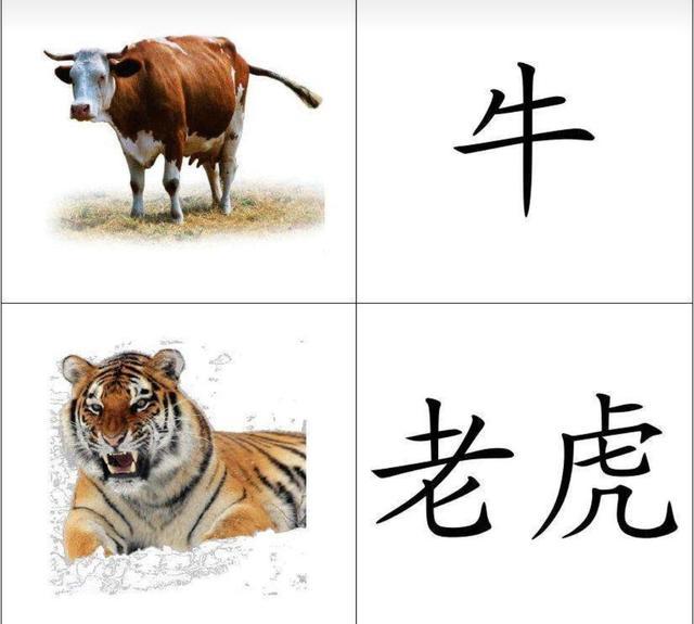 宋仲基爸爸发声:南京女生被男友谋害，事发后还和其父亲一起报案是否要罪加一等？