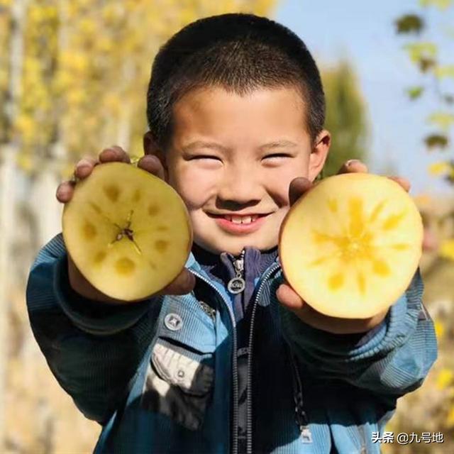 怎么和电商合作卖产品，有水果怎么跟电商或平台合作销售有哪些渠道或方法