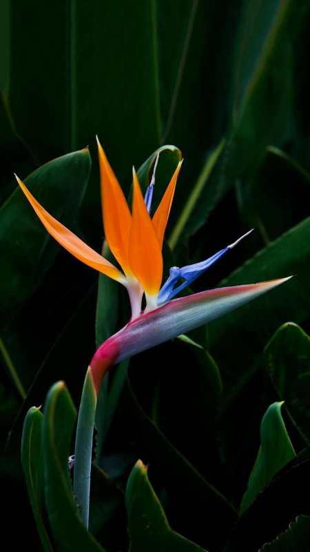 怎样做跨境电商视频（跨境电商专业拍摄义乌微距创意传媒有限公司怎么样）