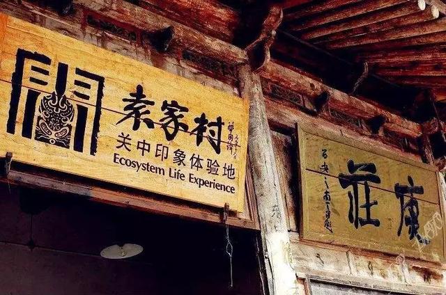 成功案例说明:当前乡村振兴比较成功的案例有哪些？