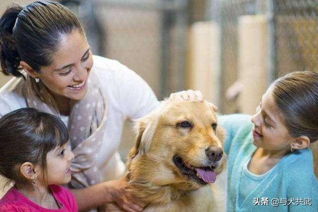 介助犬的遗言那个麽:狗是畜牲，为什么养狗的跟狗交朋友，甚至成为伴侣？