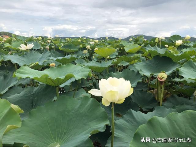 云南绥江:云南昭通是一个什么样的城市？