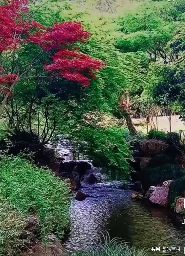 李白的《独坐敬亭山》表达的是千年孤独吗？