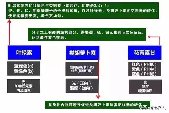 头条问答 怎样提高花青苷的含量 4个回答