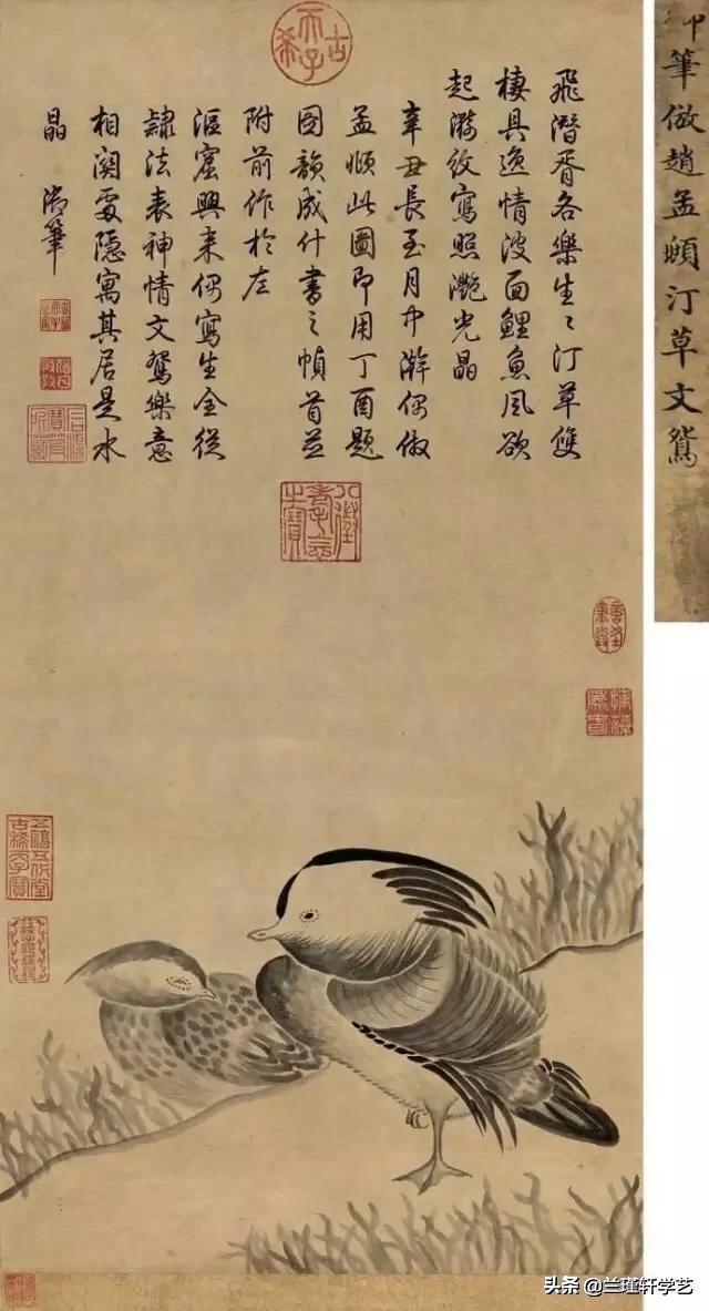 隆宸翰:38岁的萧亚轩靠什么收割了那么多高颜值男友