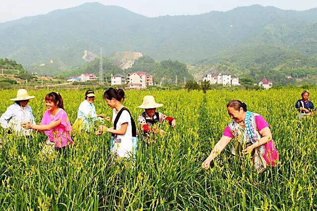 村中水怪，儿时的记忆，乡村袅袅炊烟，四季平安，风调雨顺，还记得吗