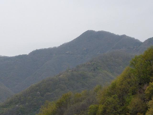 新藤惠美:地里长了许多葛根藤，怎么清除？