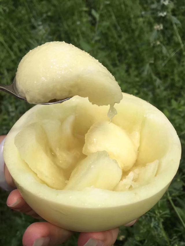 现在的水果批发零售好做吗？