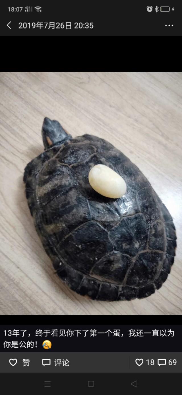 养宠物的好处:养狗有哪些好处？你觉得应该禁止养狗吗？