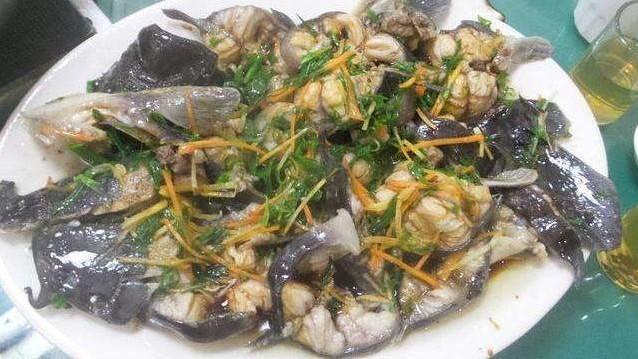 人养的塘鲺吃什么:塘鲺吃什么食物 农民所养殖的鲶鱼和塘鲺是一种鱼吗？它们有啥区别吗？