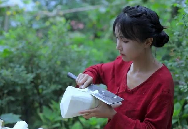 李子柒刷新世界纪录:网上关于李子柒的信息都是真实的吗
