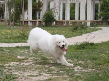 十大灵异图片，《红楼梦》小说有哪些情节诡异的地方