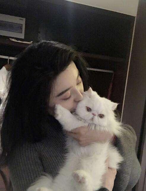 素力高海藻粉对猫咪的作用:怎么从一窝猫咪中挑选出猫王？