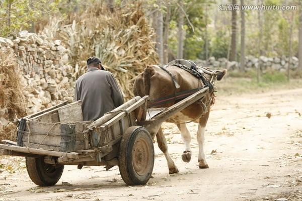 头条问答 - 还记得童年农村的运输工具地板车吗?