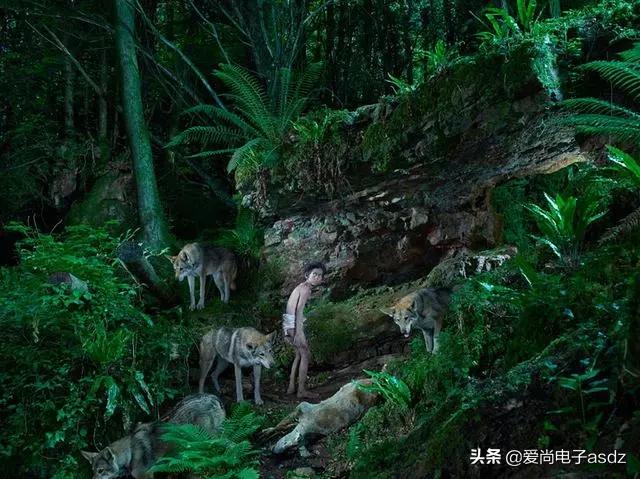 李开复女儿:望子成龙，望女成凤是剥夺孩子童年的快乐，你认为呢？