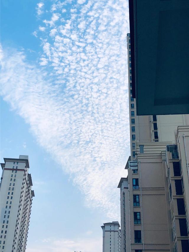 为什么赌徒总要去复赌？