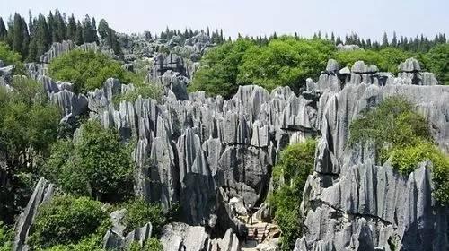 千岛湖蛇岛:请问；去过千岛湖的朋友，千岛湖怎么玩好，那些景点必须去？