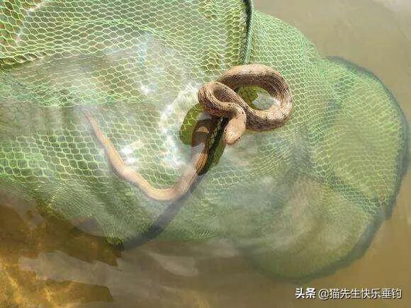 钓鱼遇见灵异事件:钓友们在钓鱼途中，遇到最惊悚的事情是什么？