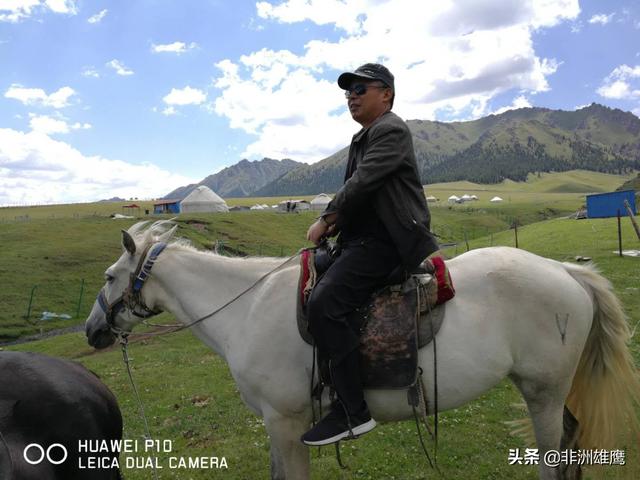 狗狗听的音乐:刚出生的小孩适合听什么样的音乐？ 狗狗音乐歌曲大全