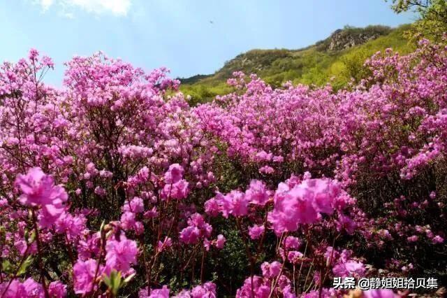 五龙潭地下空间:怀柔有什么地方适合自驾游？