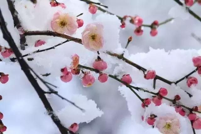 晚安句子190108：愿你不只会安慰别人，愿你多懂心疼自己