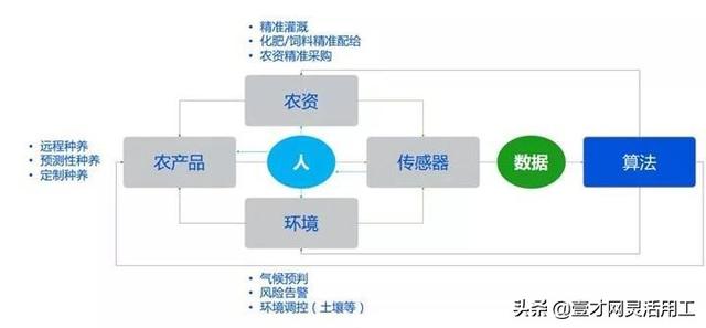 产业互联网未来发展前景？-第30张图片-9158手机教程网