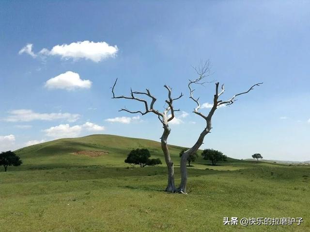 张文宏谈十一出游:由于疫情人们出行减少，这个五一长假你会外出旅行吗？