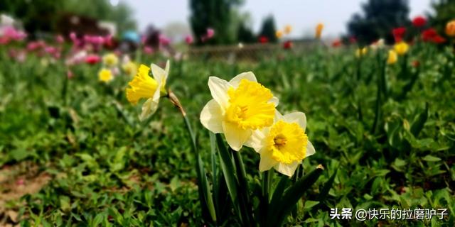 张文宏谈十一出游:由于疫情人们出行减少，这个五一长假你会外出旅行吗？