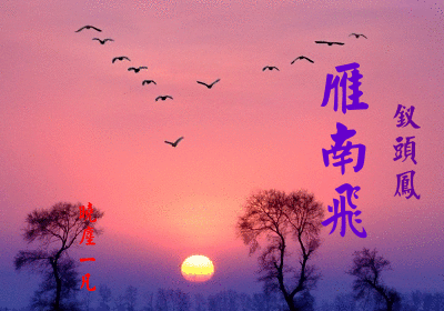 “千里黄云白日曛,北风吹雁雪纷纷”,高人指点一下,“雁”指什么?