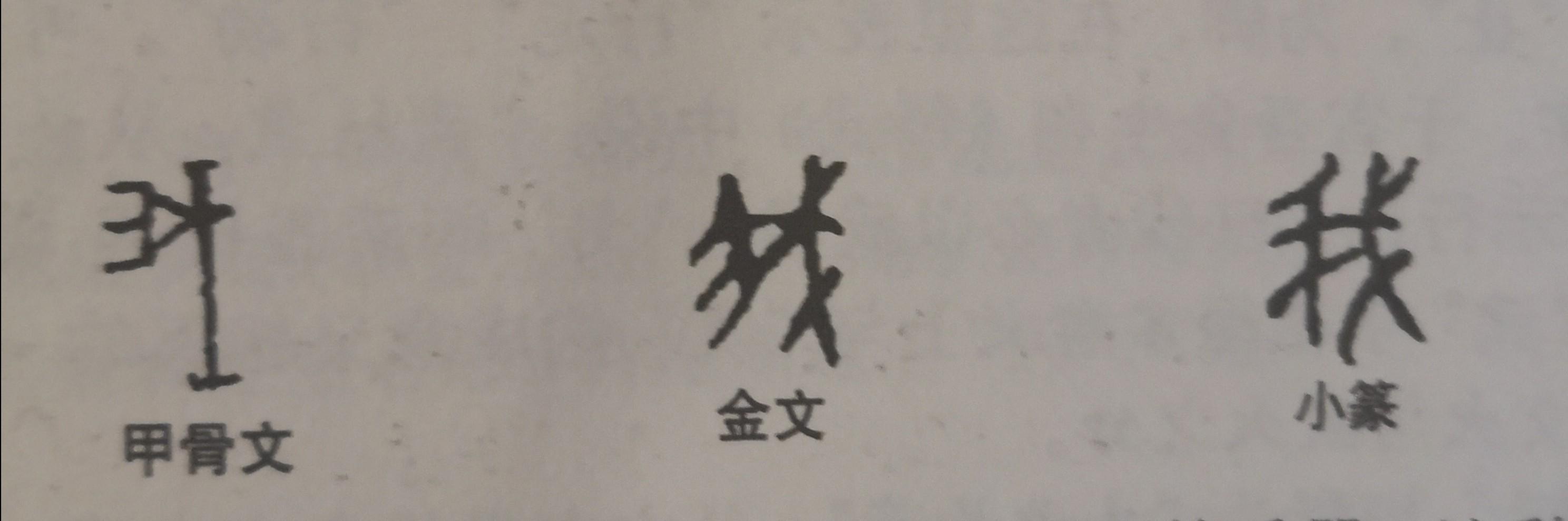 为什么“我”字，没有像“他、她”字一样有性别呢