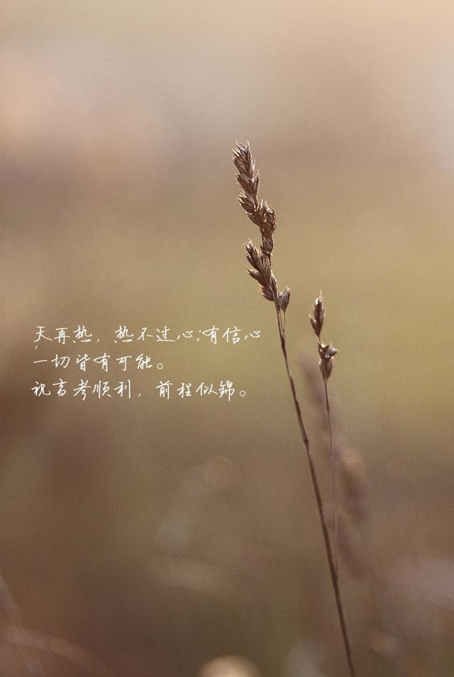 宠物志愿:孩子成绩很一般，不想选那些花里胡哨的专业，怎么填志愿更务实？