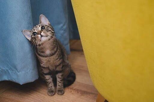 什么是猜疑？你怎么看？