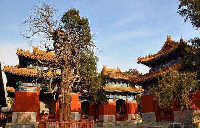 元朝霸占中原后，山东孔家是怎么做的？