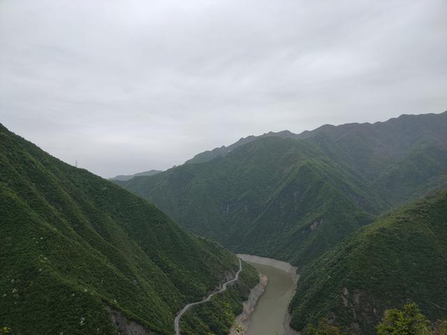 新藤惠美:地里长了许多葛根藤，怎么清除？