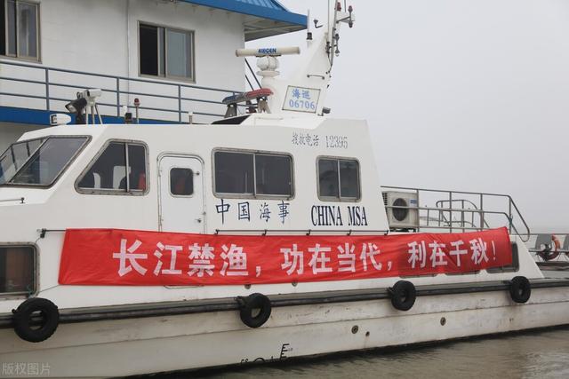 三峡大坝里面有条蛇:三峡大坝有多少“成精”的生物？