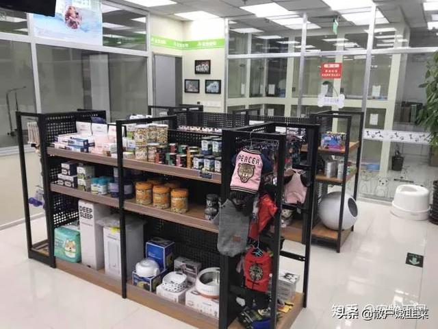 宠物店市场分析定位:开个宠物店怎么样，宠物店怎么开？