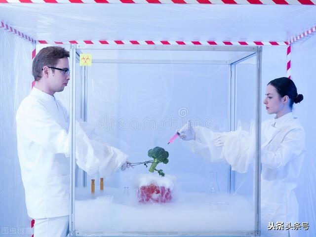 柳州宠物网雪国赏:如何看待广西柳州一司机压死宠物狗，又赔钱又向狗道歉？