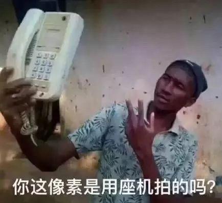 对狗耳朵说话的表情包:有谁知道狗狗如果对你撒娇意味着什么？