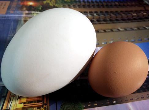 鸡蛋和鸭蛋哪个更好吃？哪个营养价值更高？:鸭蛋的热量 第6张