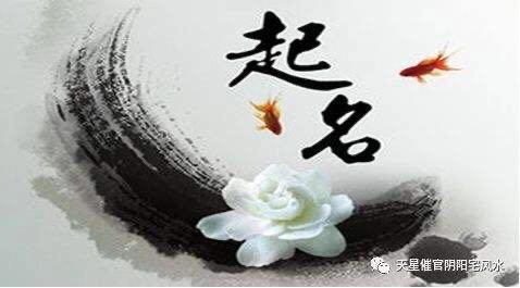 如何给女孩起个好听又有寓意的名字