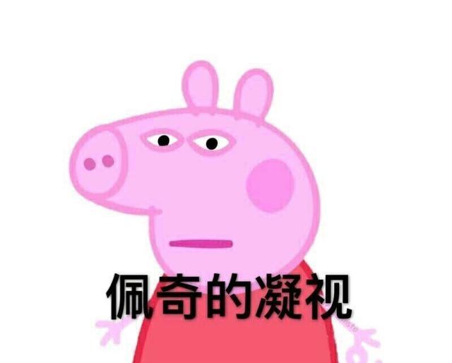 茶杯猪图片欣赏:在北京养一头猪是什么体验？ 茶杯猪图片