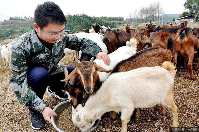 养殖业什么最好养:现在很多农村人选择养殖业，那么养殖什么动物才比较好赚钱？