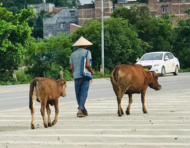 姓名可以惊艳到什么程度？插图