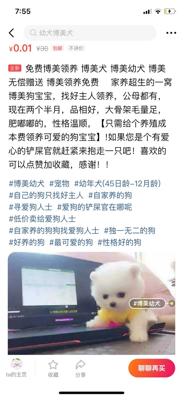 北京免费领养狗狗:请问咸鱼上有免费领养宠物，请问这个是真的让免费领养宠物的吗？