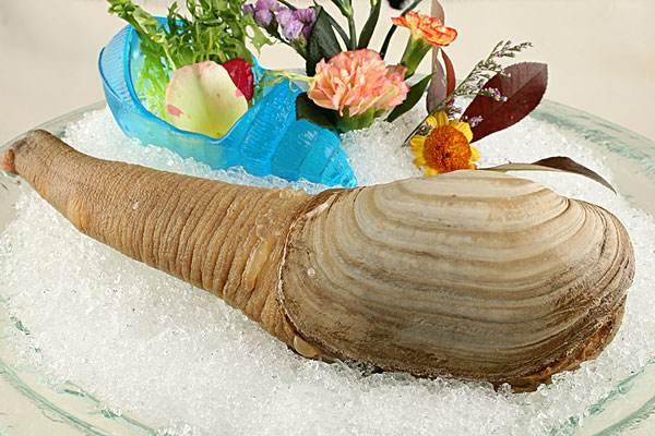 深海黑鳘鱼多少钱一斤:金钱鳘鱼胶好吗？市场上的金钱鳘鱼胶一斤多少钱呢？