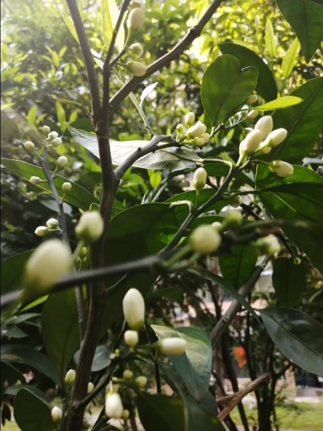 生活给了你无尽的苦难,你会越挫越勇,还是悲观失望？