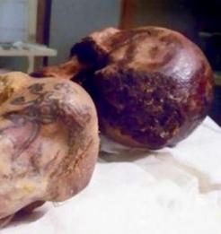 清朝古墓女尸，据说考古学界发现有十大女尸，你如何看待这件事
