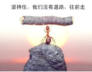 大学毕业后,你过上了自己想要的生活吗？