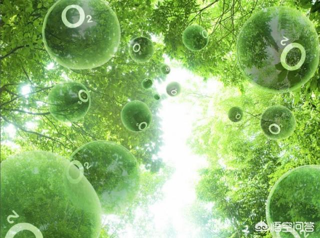 地球上的两次氧气暴增事件，地球氧气全部来自植物是伪科学吗你怎么看